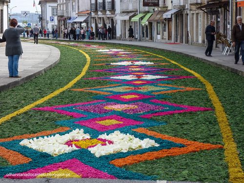 Tapetes de flores, Caminha (3)