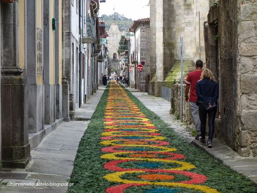 Tapetes de flores, Caminha (10)