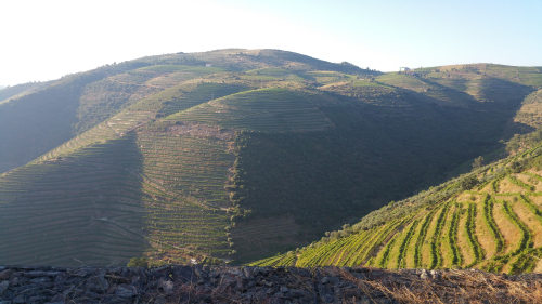 Douro 2