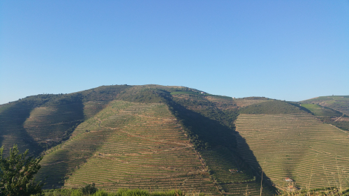 Douro 5