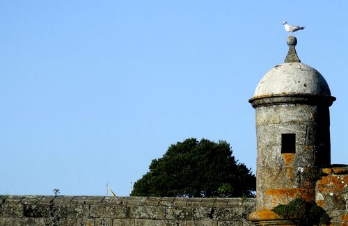 VIANA DO CASTELO 9