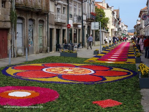 Tapetes de flores, Caminha (5)