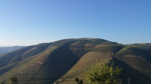 Douro 4