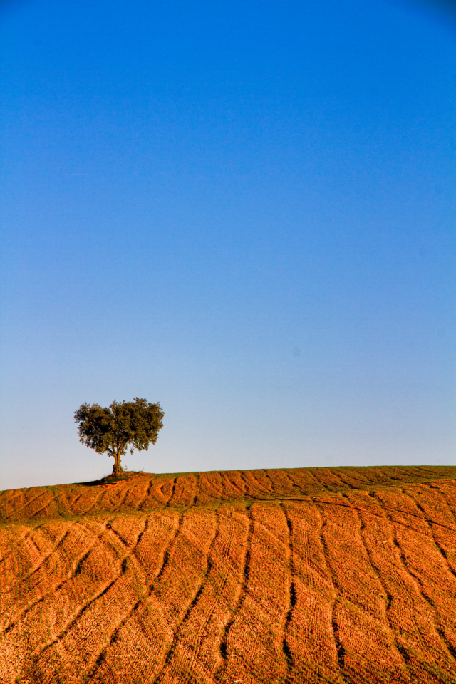 Alentejo 6